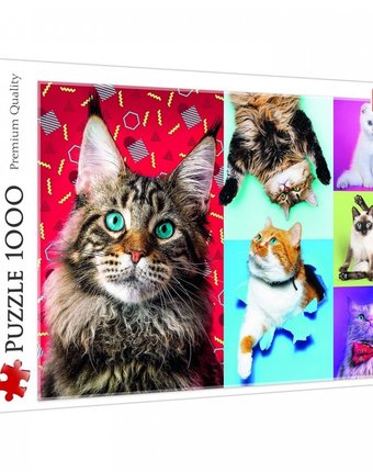 Миниатюра фотографии Trefl пазлы счастливые кошки (1000 элементов)