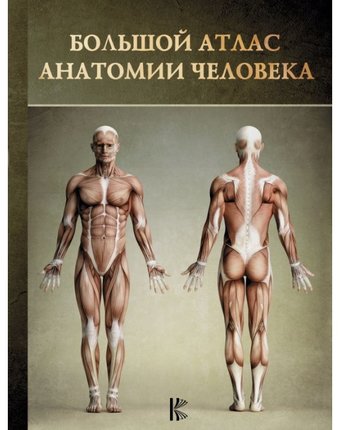 Издательство АСТ Большой атлас анатомии человека
