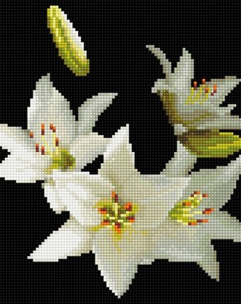 Molly Картины мозаикой Белые лилии 30х30 см
