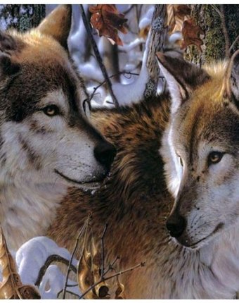 Миниатюра фотографии Color kit набор для вышивания бисером волки в зимнем лесу