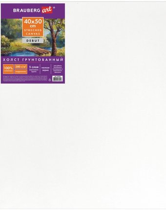 Миниатюра фотографии Brauberg холст на подрамнике art debut грунтованный мелкое зерно 40х50 см 191024