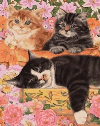 Paintboy Картина по номерам Три кота