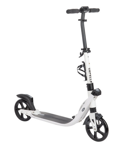 Двухколесный самокат Capella Flash