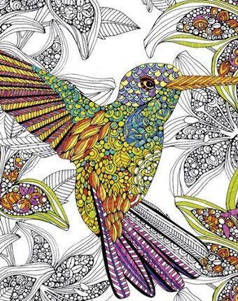Миниатюра фотографии Educa пазл-раскраска колибри (300 деталей)