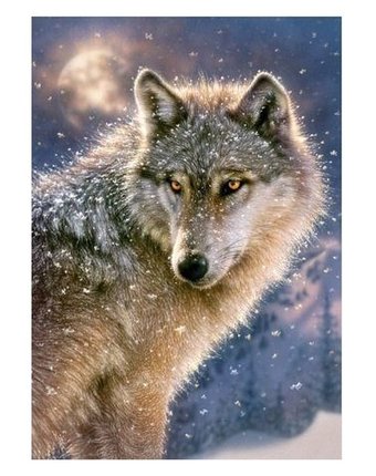 Миниатюра фотографии Пазл castorland волк 500 шт.