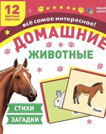 Карточки Издательство Учитель Домашние животные