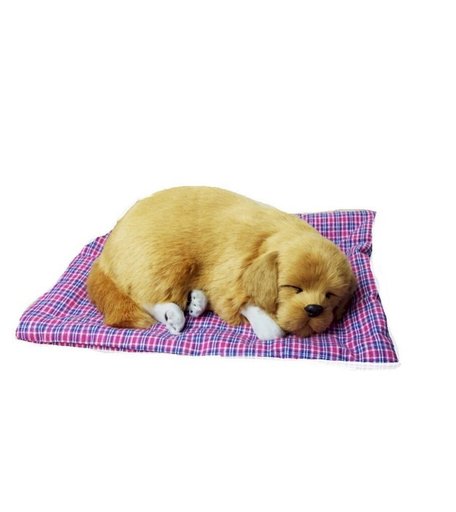 Мягкая игрушка Super01 Золотистый ретривер 21 см цвет: коричневый