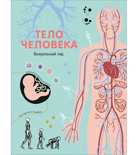 Энциклопедия Росмэн «Тело человека. Визуальный гид» 7+