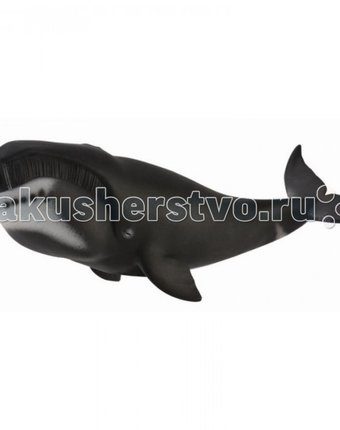 Миниатюра фотографии Collecta гренландский кит xl