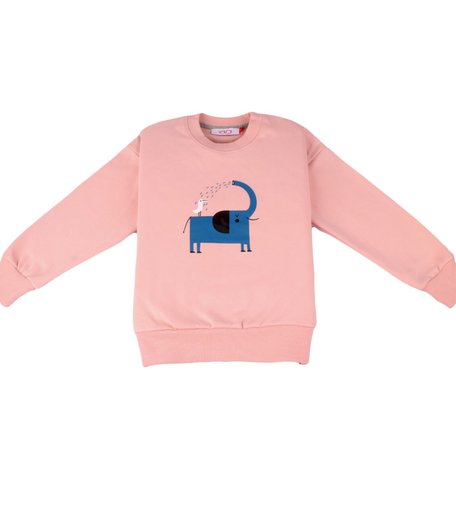 Толстовка W.sharvel