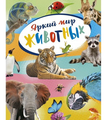 Махаон Энциклопедия Яркий мир животных