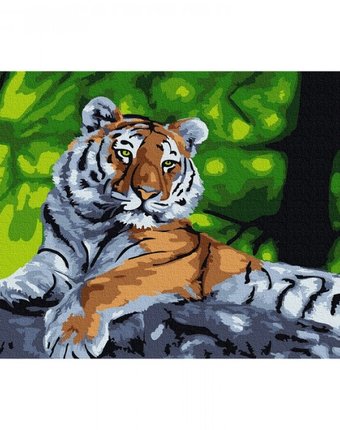 Molly Картина по номерам Амурский тигр 20х30 см