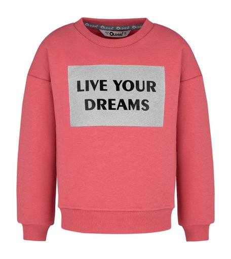 Толстовка Oldos