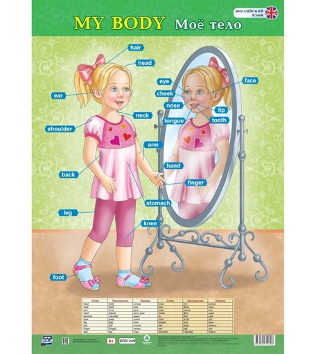 Плакат Издательство Учитель Английский язык. My body. Моё тело