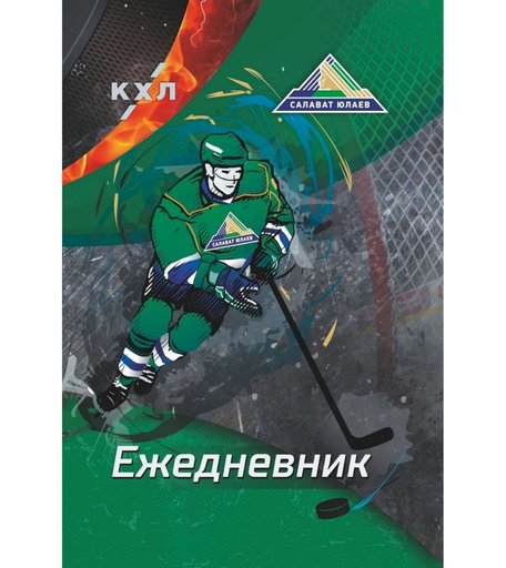 Ежедневник крупная клетка А5 287л Издательство Учитель Салават Юлаев
