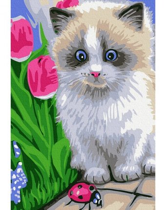 Molly Картина по номерам Маленький котенок 20х30 см