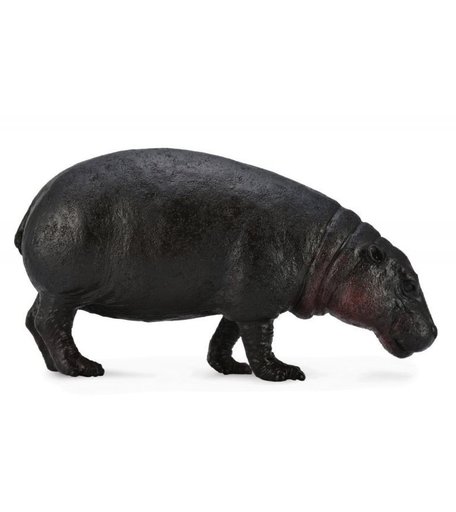 Фигурка Collecta Карликовый бегемот 12 см