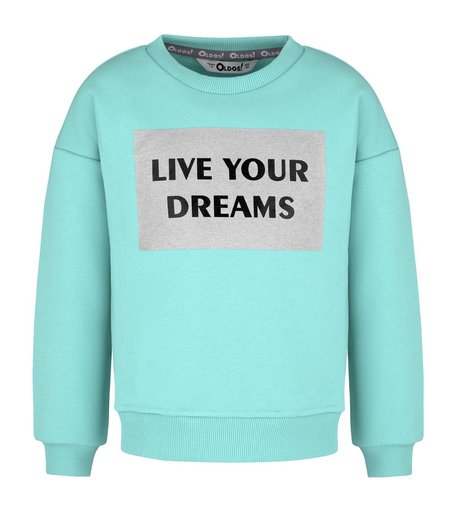 Толстовка Oldos