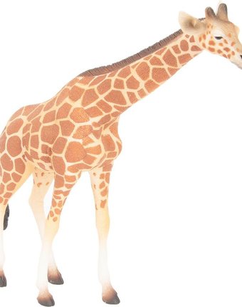 Миниатюра фотографии Фигурка collecta сетчатый жираф 16.5 см