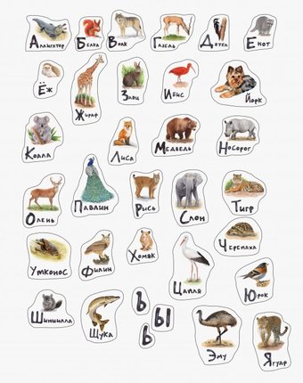 Миниатюра фотографии Magiboard набор магнитов азбука с животными