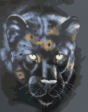 Миниатюра фотографии Color kit картина по номерам на подрамнике черная пантера 50х40 см