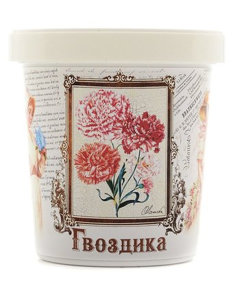 Миниатюра фотографии Набор для выращивания гвоздика цвет: белый rostokvisa