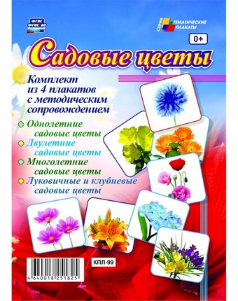 Набор плакатов Издательство Учитель Садовые цветы