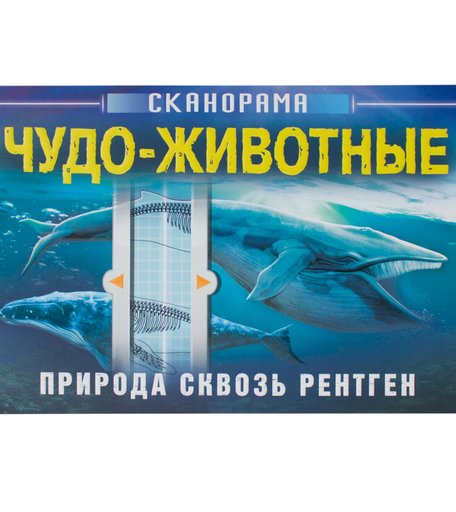 Книга-сканорама Мозаика Kids «Природа сквозь рентген. Чудо-животные» 6+