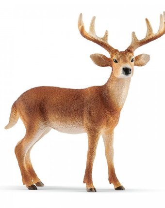 Миниатюра фотографии Schleich игровая фигурка  белохвостый олень-самец