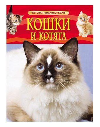 Миниатюра фотографии Книга росмэн «кошки и котята» 5+