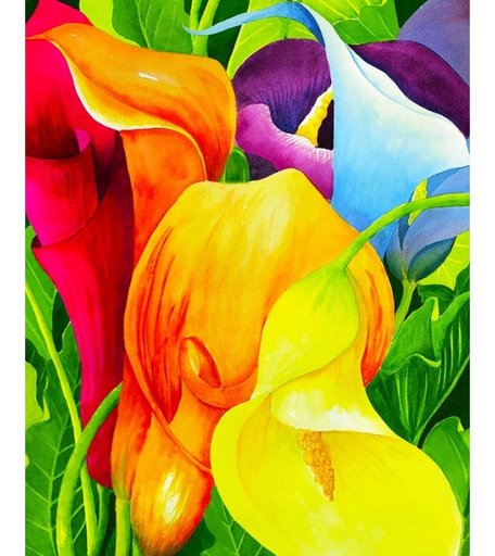Color Kit Картина со стразами Разноцветные каллы
