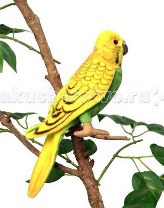 Миниатюра фотографии Мягкая игрушка hansa волнистый попугайчик зеленый 15 см
