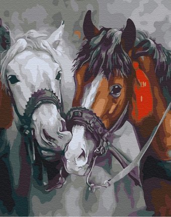Molly Картина по номерам Красивые лошади 30х30 см