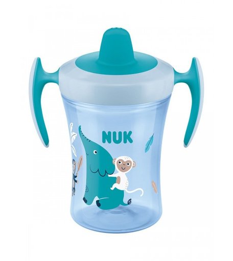Поильник Nuk Evolution Trainer тренировочный с 6 мес. 230 мл