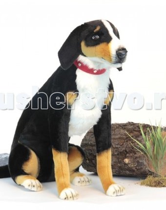 Миниатюра фотографии Мягкая игрушка hansa собака аппенцеллер сидящий 66 см