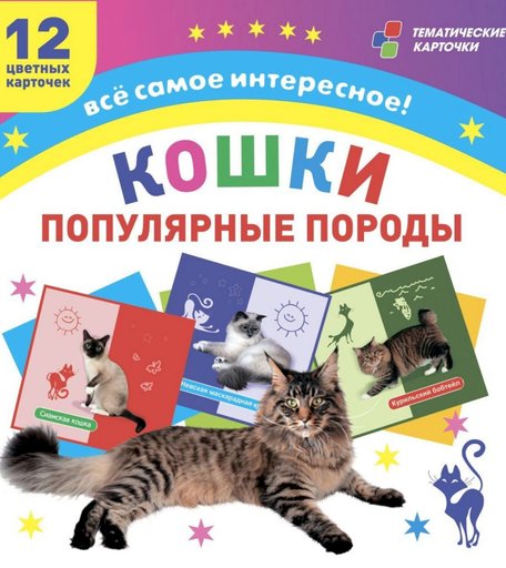 Карточки Издательство Учитель Кошки. Популярные породы