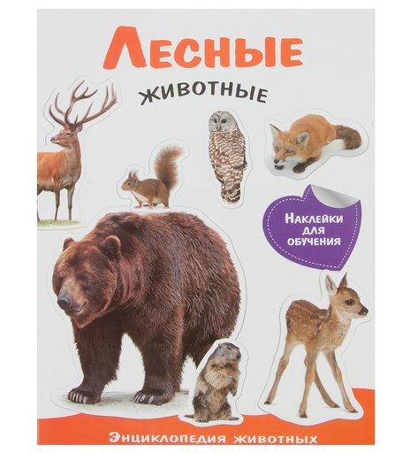 Энциклопедия Стрекоза «Лесные животные» 6+