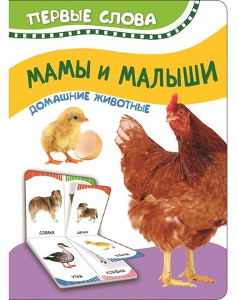 Книга Росмэн «Мамы и малыши. Домашние животные. Первые слова» 0+