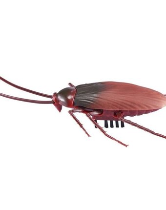 Миниатюра фотографии Интерактивная игрушка robo alive робо-таракан