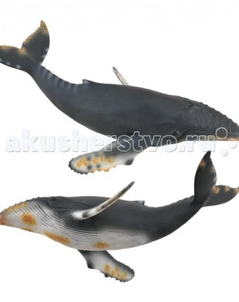 Миниатюра фотографии Collecta фигурка горбатый кит xl