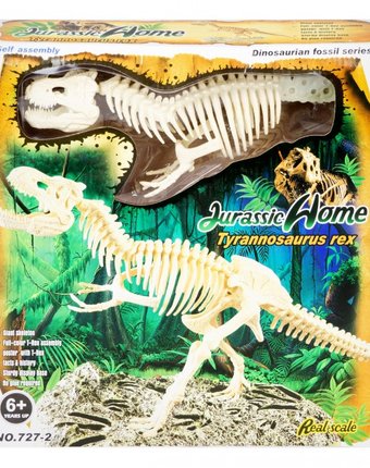 Миниатюра фотографии Ningbo union vision набор для сборки скелета тираннозавра рекс 20х25х50 см