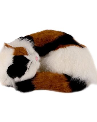 Миниатюра фотографии Мягкая игрушка super01 кошка 25 см цвет: мультиколор