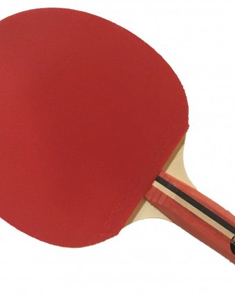 Миниатюра фотографии Ping-pong ракетка для настольного тенниса tactic