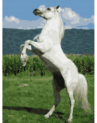 Molly Картина по номерам с цветной схемой на холсте Белый конь 40х30 см