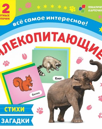 Миниатюра фотографии Плакат издательство учитель млекопитающие: 12 развивающих карточек с красочными картинками, стихами и загадками для занятий с детьми