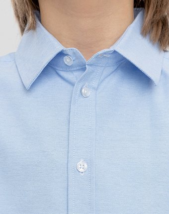 Миниатюра фотографии Сорочка голубая button blue