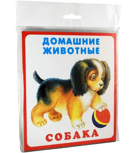 карточки Искатель «Домашние животные» 0+