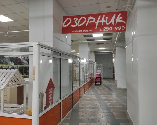 Магазин Озорник Пенза Каталог Товаров Для Новорожденных