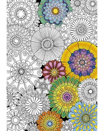 Миниатюра фотографии Educa пазл-раскраска цветы (300 деталей)
