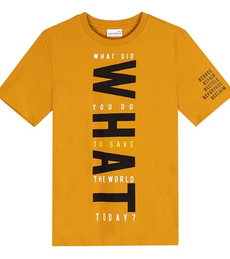 Футболка Coccodrillo